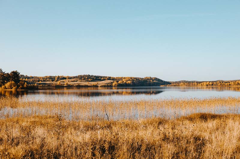 wetlands in San Bernard National Wildlife Refuge